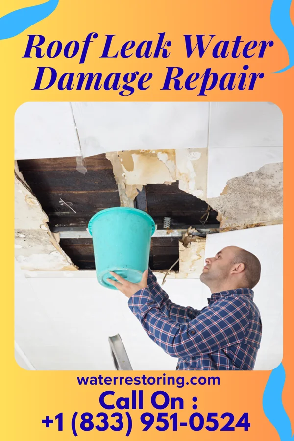 Roof Leak Water Damage Repair in Potomac, MT